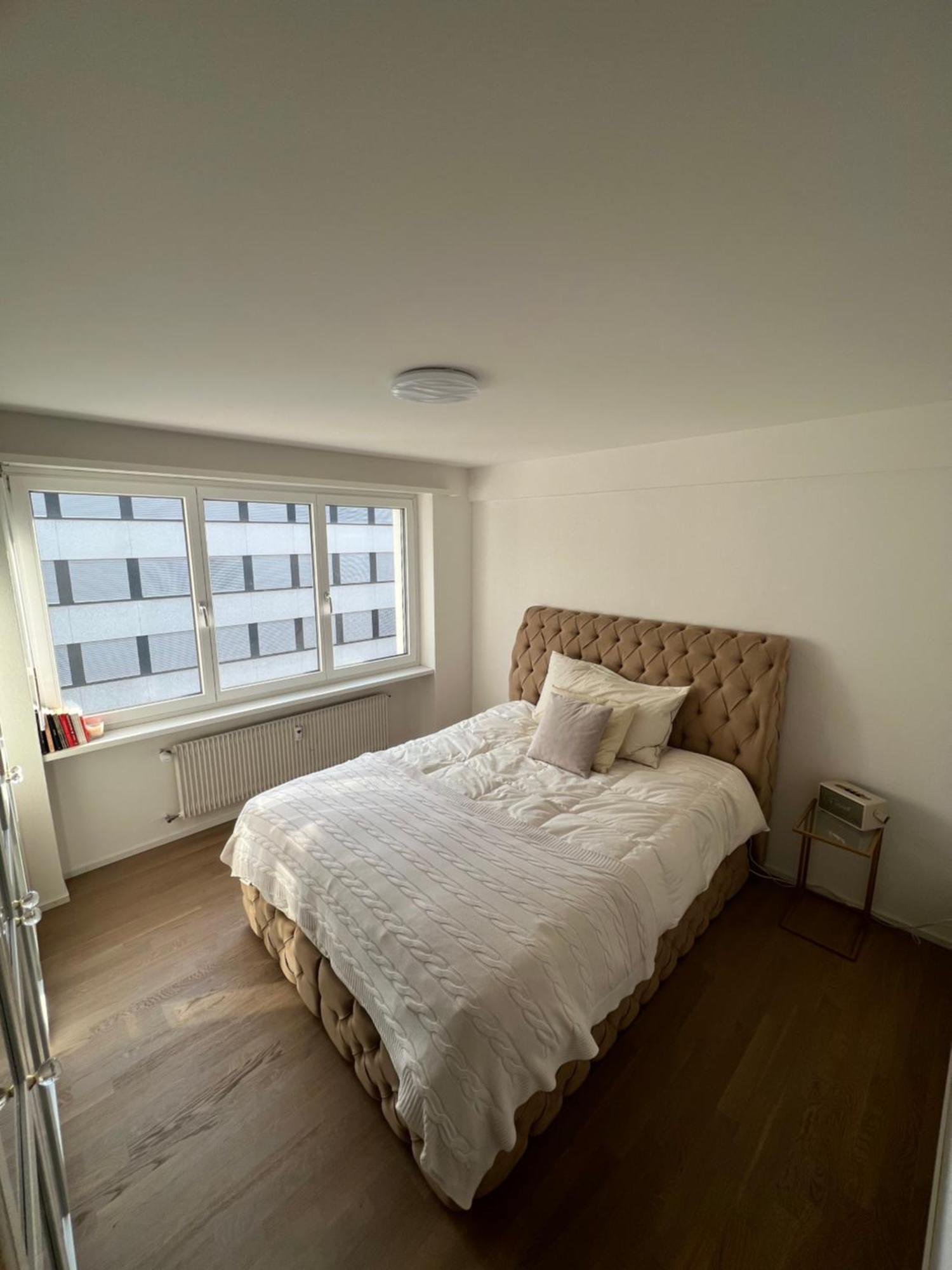 Best Located & Fully Equipped Apartment At Basel Sbb Main Station 외부 사진